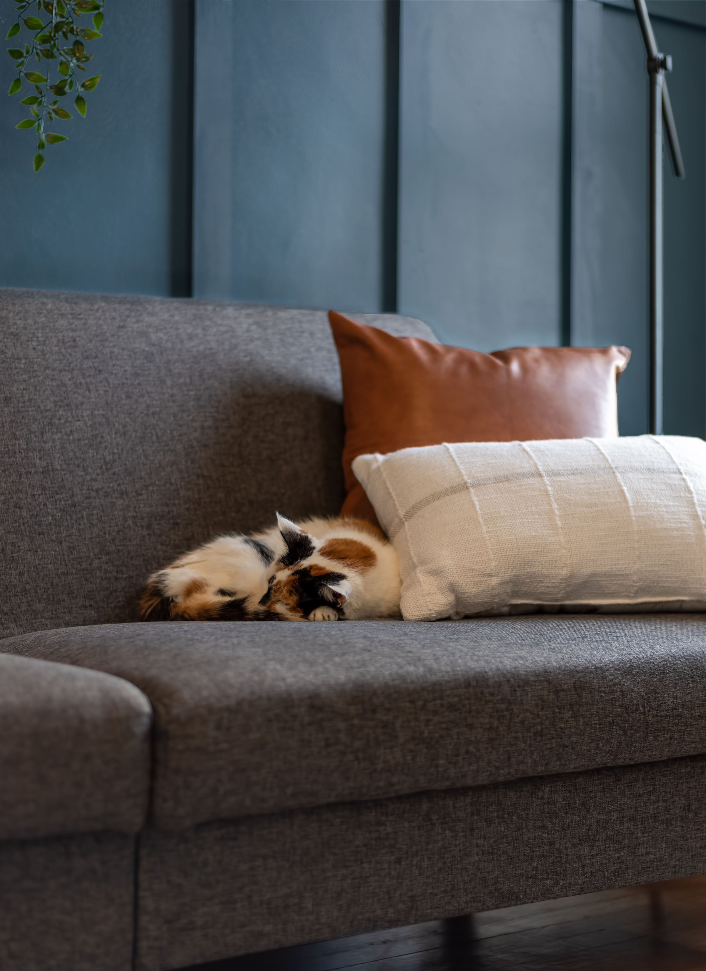 2026 colour of the Year