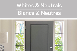 Whites & Neutrals Card