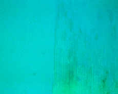 Exterior paint problem with poor alkali resistance