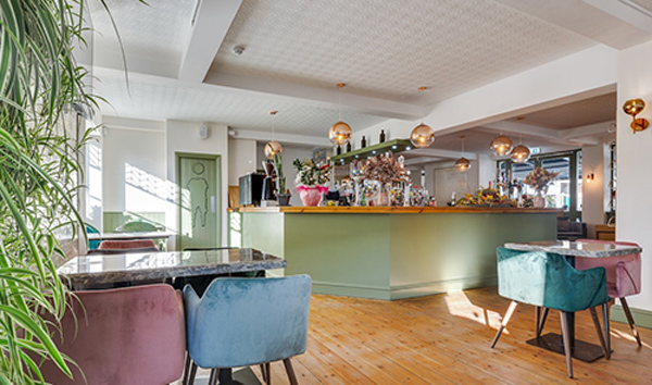 Paint colours For Professionals