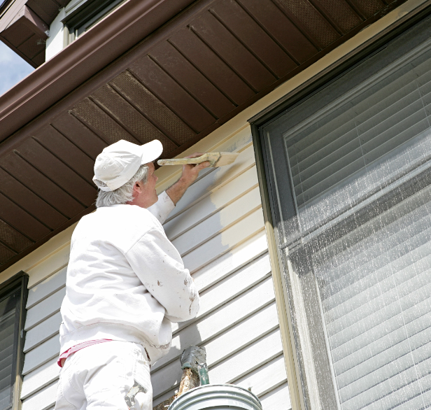 Explore Paint Solutions by Professional Segment